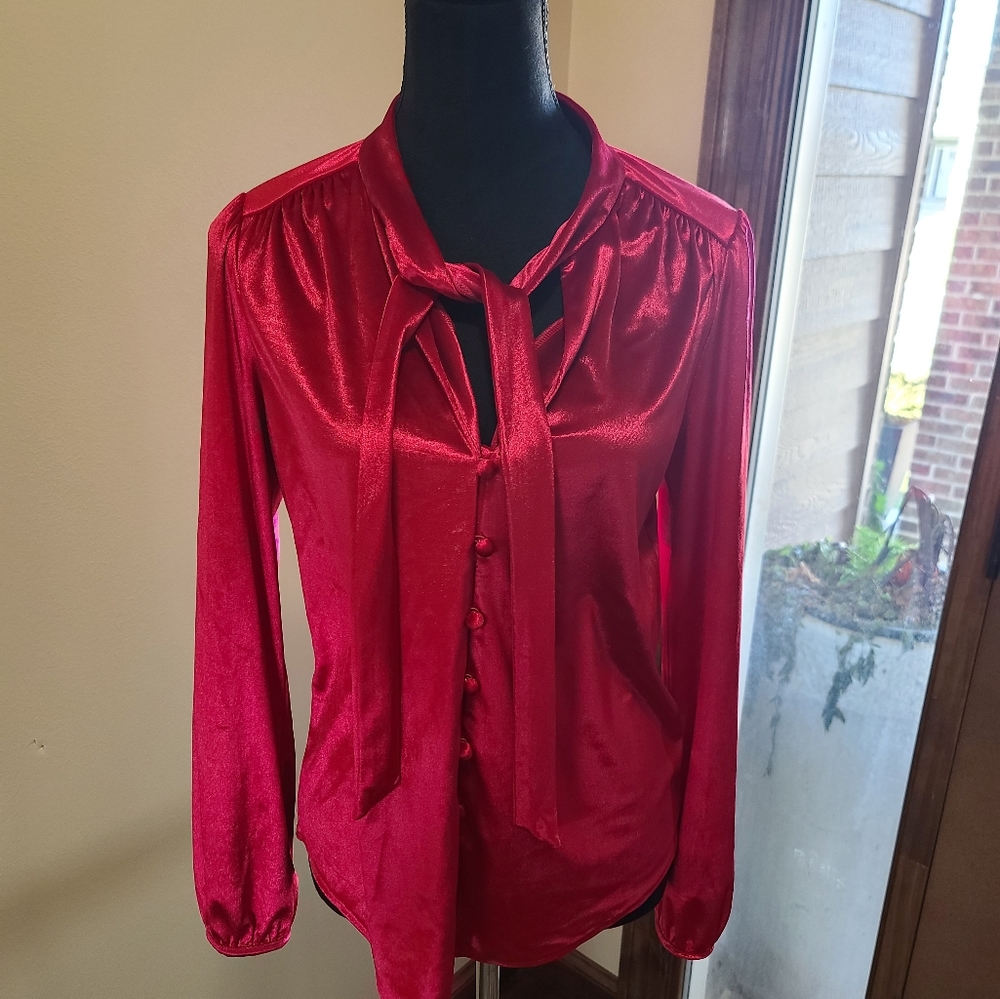 WHBM velvet blouse.  Only worn a couple tima